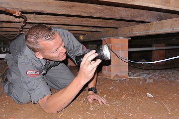 pest inspections image