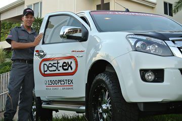 pest ex termite experts 1 image