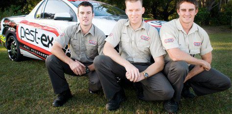 Pest Control Dutton Park | Pest Ex