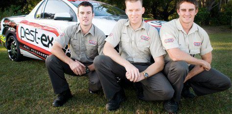 Pest Control Durack | Pest Ex