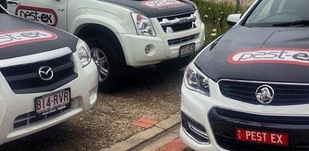 Play as the pest extermination robot, p.o.e. Pest Control Oxenford | Pest Ex