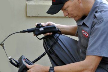 If you've seen a few ants scuttling around on the floor, they might be just having a look around. Pest Control Tallebudgera Valley | Pest Ex