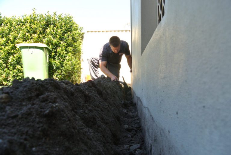 Termite Treatment Cost Australia Wide What Should it cost?