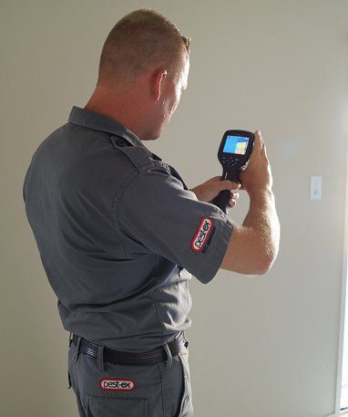 termite detection inspection camera image