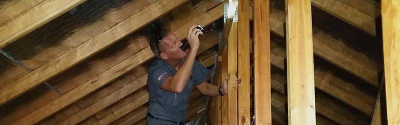 pest inspector checking termites image