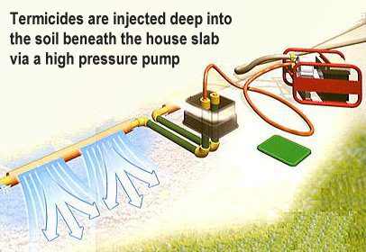 termite reticulation system image