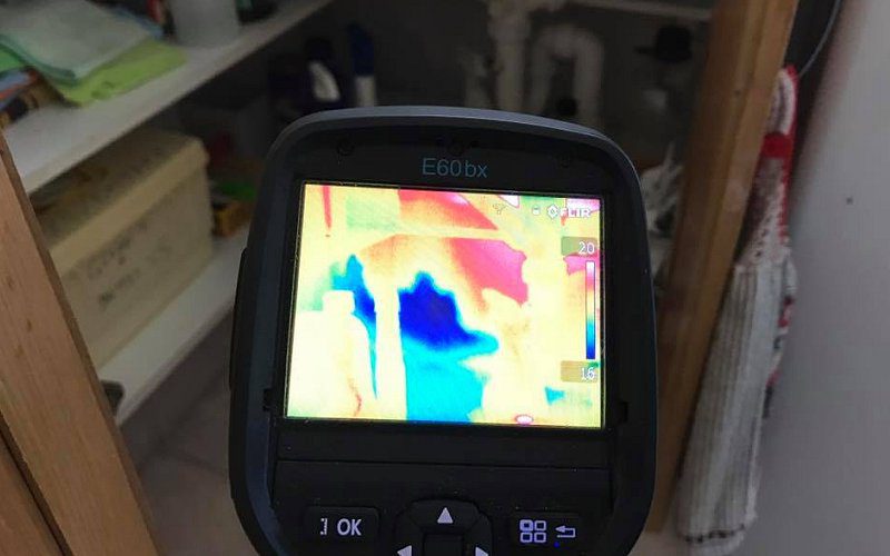 thermal imaging camera termites image