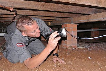 pest control camp hill image