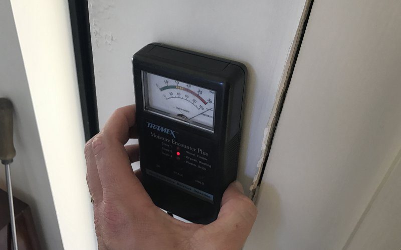 termite inspection moisture meter image