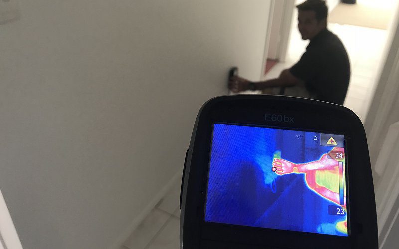 thermal imaging termite inspection