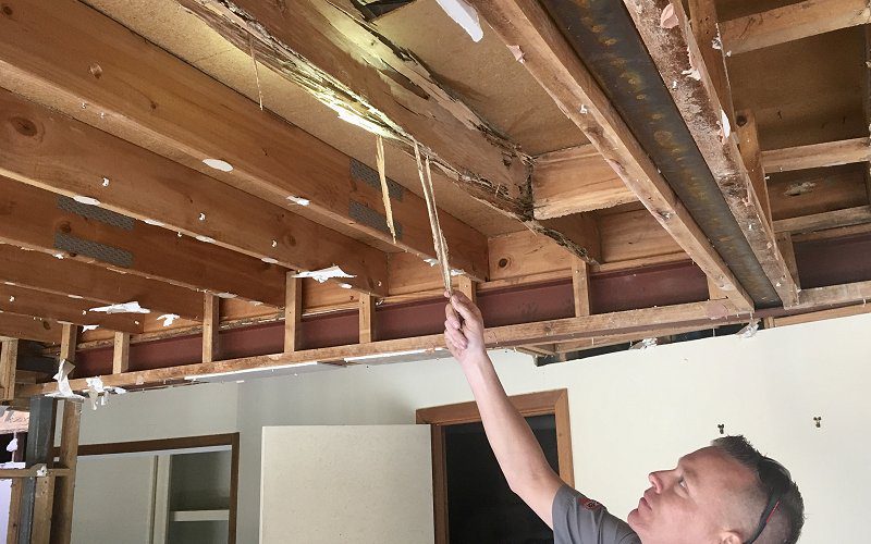 should i buy a house with termite damage