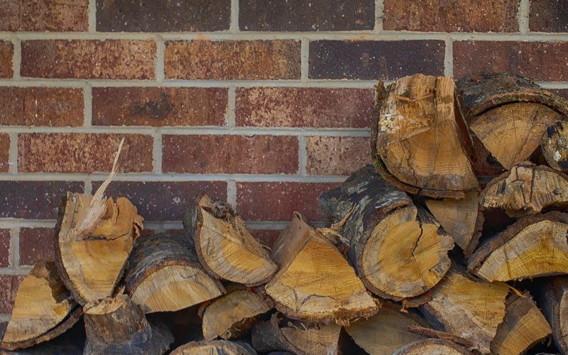 timber against wall cause termites image