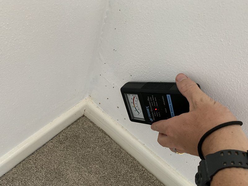 checking termites walls image