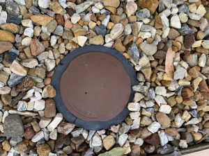 termite bait station