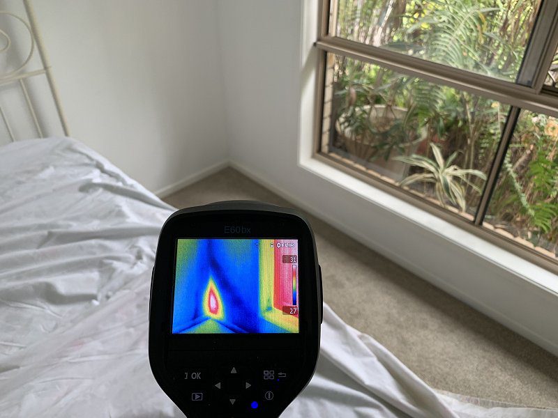termite inspection thermal camera image