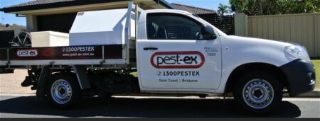Pest Control Redland Bay | Pest Ex