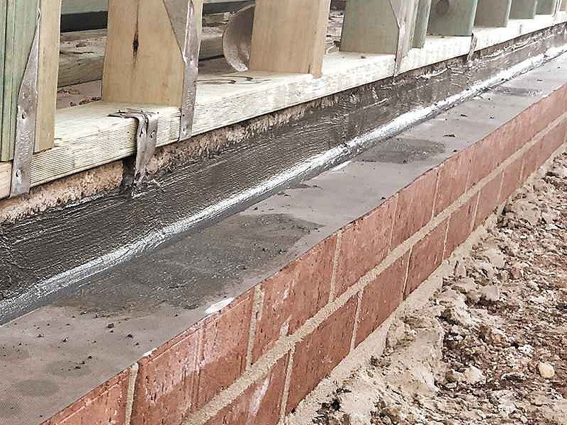 What's the Best Termite Treatment? | Pest Ex