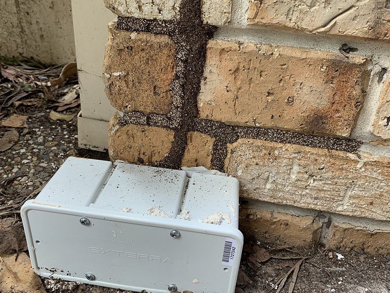 termite bait station image