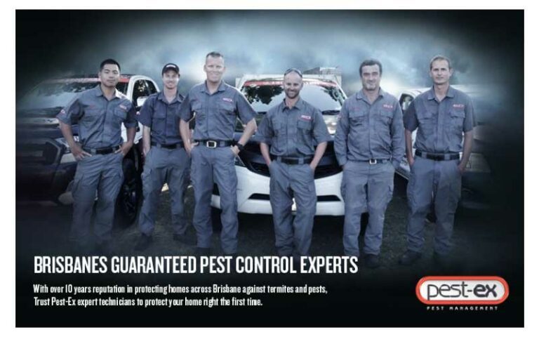 Brisbane Pest Control & Termite Treatment Services | Pest Ex