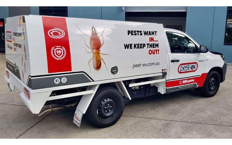 pest termite control gold coast image