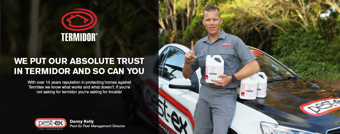 termite control brisbane