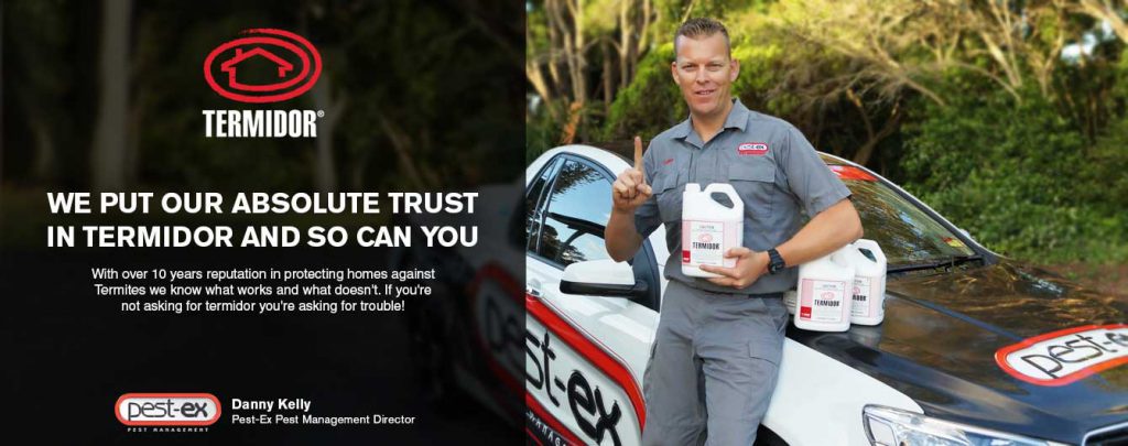 Gold Coast Pest Control & Termite Treatment Services | Pest Ex