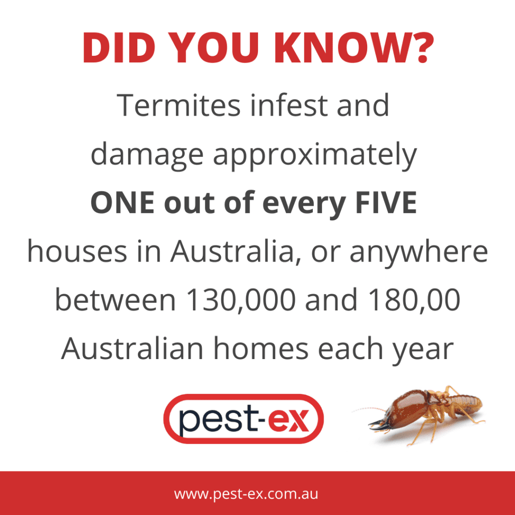 Termite Damage Statistics