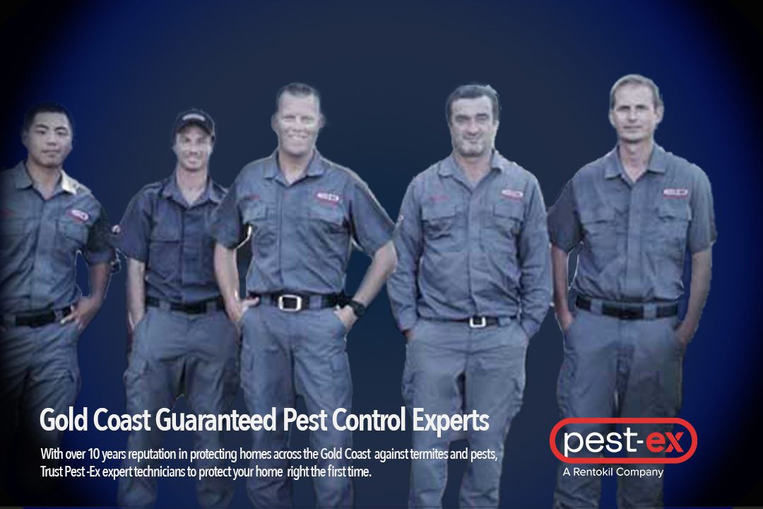 pest control gold coast image